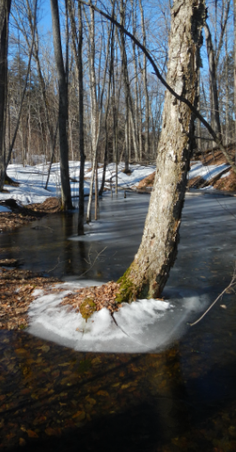Chaire de recherche Eau et conservation du territoire